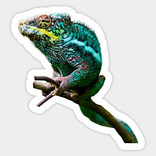 Chameleon Sticker